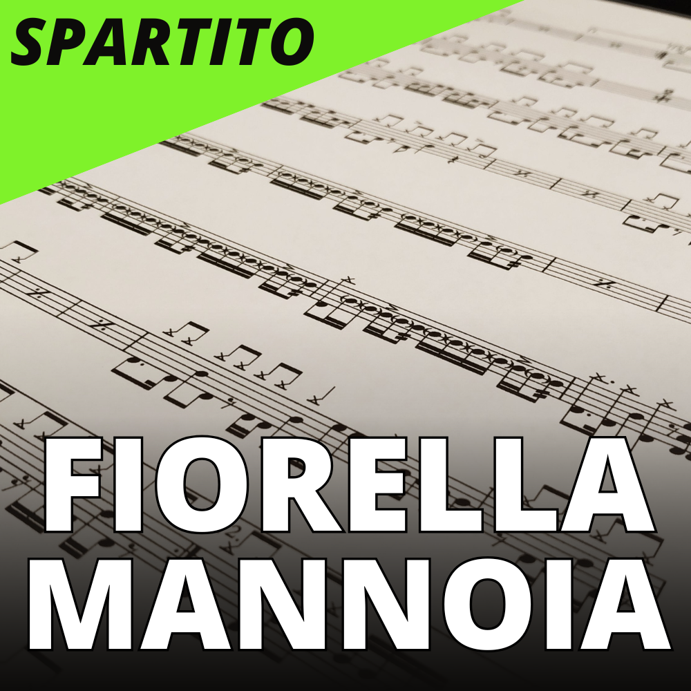 Fiorella Mannoia - La casa in riva al mare (drum sheet music)