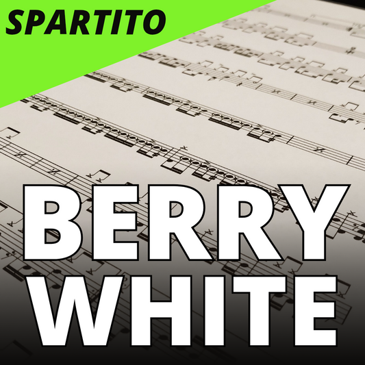 Berry White - Never, Never gonna vive ya up (drum sheet music)